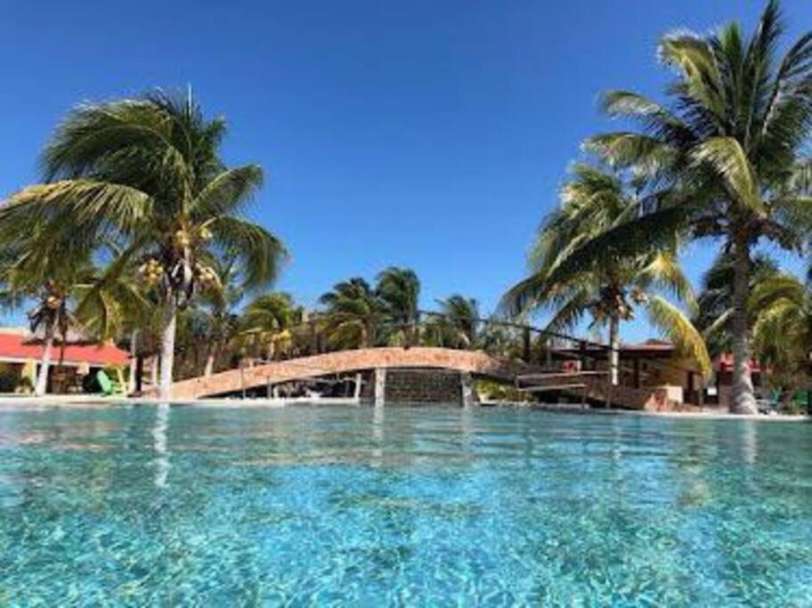 סלסטון Beachfront Apartment With Swimming Pool. One Bedroom מראה חיצוני תמונה
