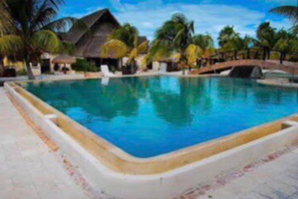 סלסטון Beachfront Apartment With Swimming Pool. One Bedroom מראה חיצוני תמונה